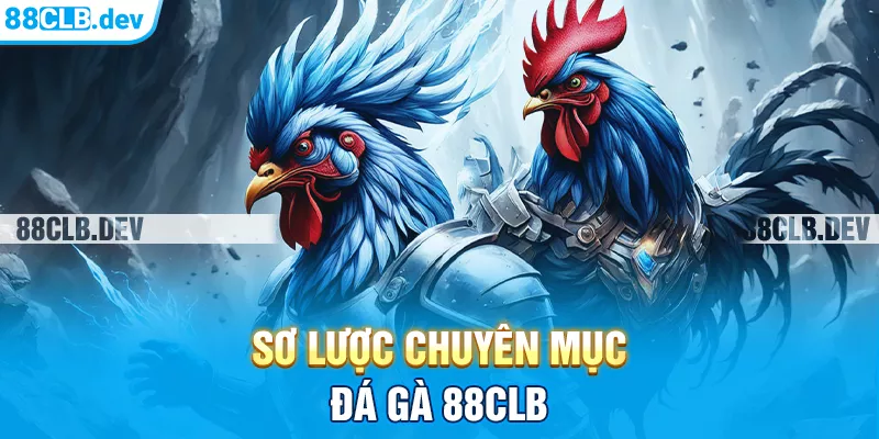 Sơ lược chuyên mục Đá gà 88CLB