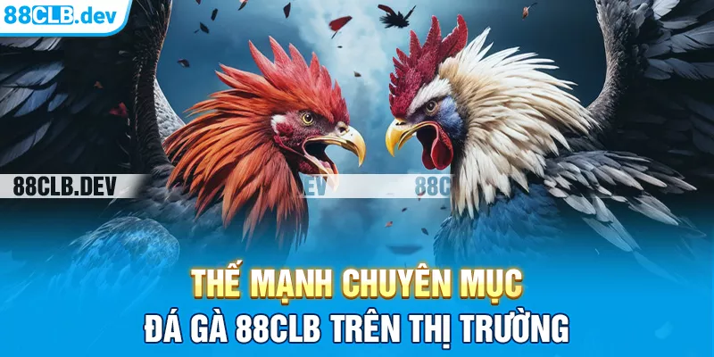 Thế mạnh chuyên mục đá gà 88CLB trên thị trường