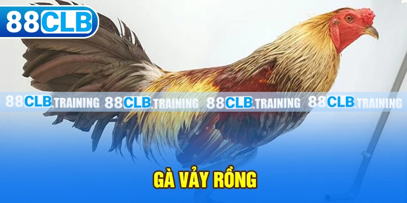 Gà vảy rồng