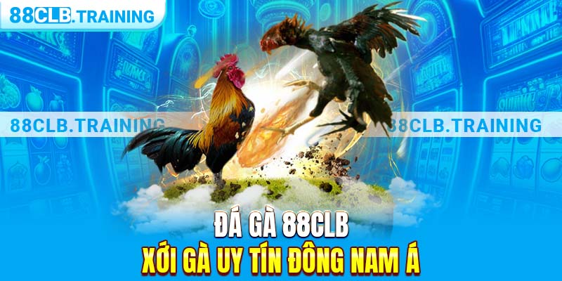 Đá gà 88clb xới gà uy tín Đông Nam Á